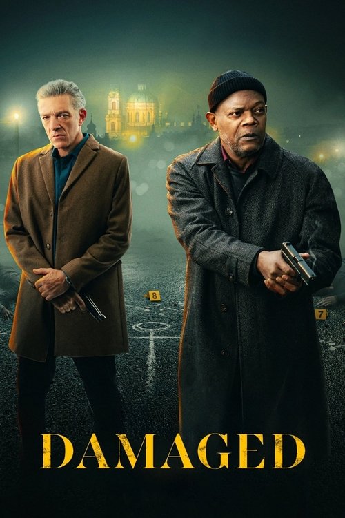 致命伤痕（2024）蓝光版